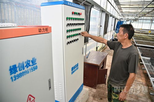 空调房 营养餐 ,内江这个村有 高科技 育苗工厂